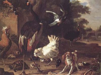 Melchior de Hondecoeter Birds and a Spaniel in a Garden (mk25) oil painting image